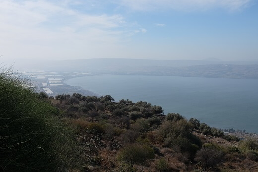 מצפה השלום מצפה השלום